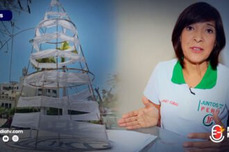 Arbol - navideno - Chiclayo - polemica