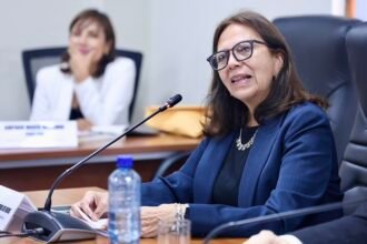 Embajadora Ana María Liliana Sánchez Vargas de Ríos, alta representante del Perú para el proceso de adhesión a la OCDE. (Foto: CONGRESO)
