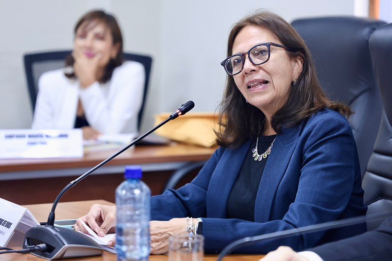 Embajadora Ana María Liliana Sánchez Vargas de Ríos, alta representante del Perú para el proceso de adhesión a la OCDE. (Foto: CONGRESO)
